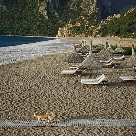 奥林姆波斯旅馆 Çıralı