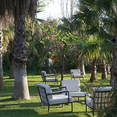 Olympos Çıralı
