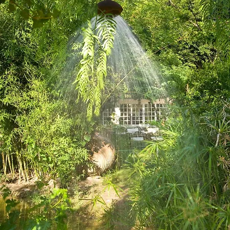 Olympos Çıralı