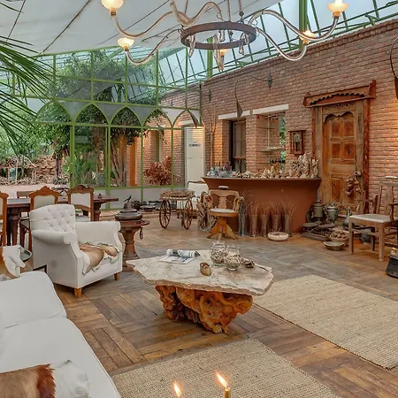 Olympos 3* Çıralı