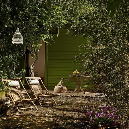 Hotel Olympos 3*