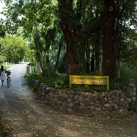 Hotel Olympos