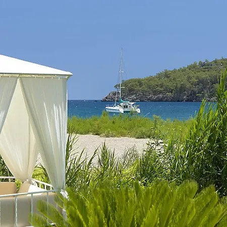 酒店 Olympos Çıralı