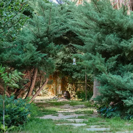Olympos Hotel Çıralı