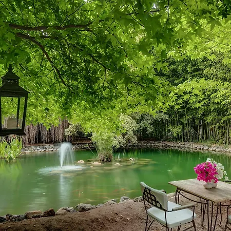 Olympos Hotel Çıralı
